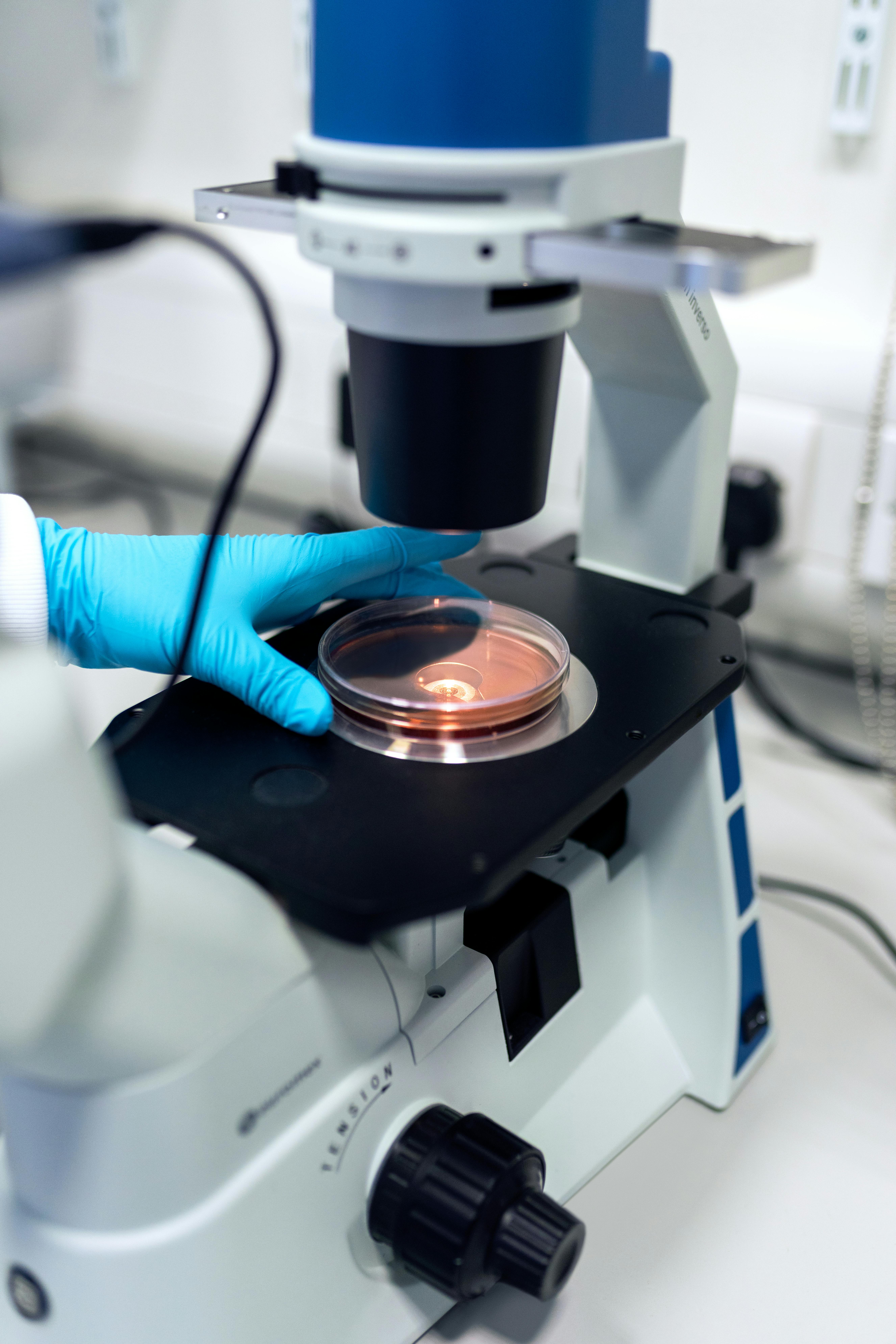 Service: Laboratory Tests