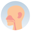 Symptom: ENT specialist