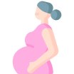 Condition: Pregnancy